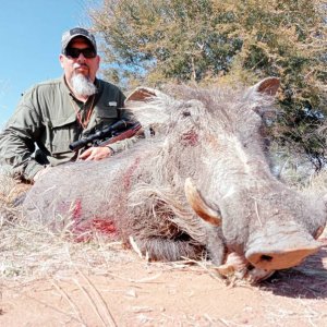 Hunting Warthog South Africa