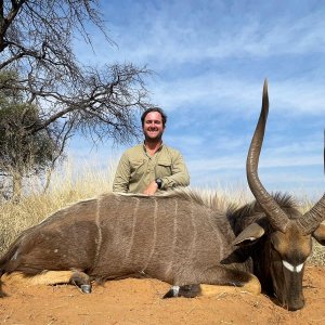 Nyala Hunting Kalahari South Africa