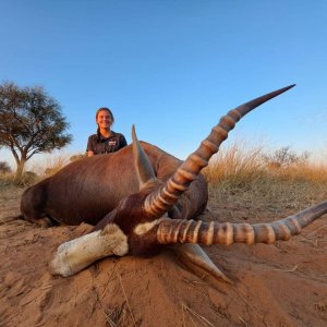 Blesbok Hunting Kalahari South Africa