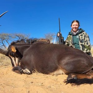 Sable Hunting Kalahari South Africa