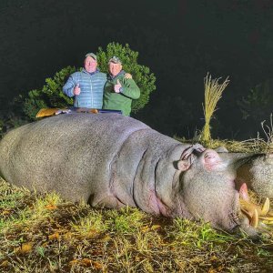 Hippo Hunt South Africa