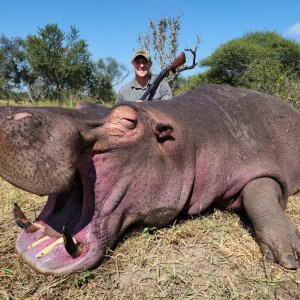 Hippo Hunt South Africa