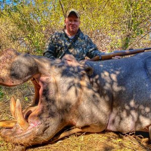 Hippo Hunt South Africa