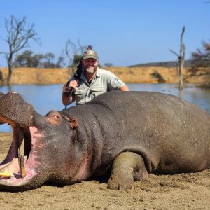 Hippo Hunt South Africa