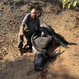 Water Buffalo Hunt Australia