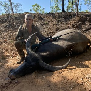 Water Buffalo Hunt Australia