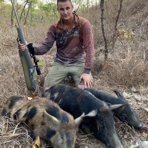 Pig Hunt Australia