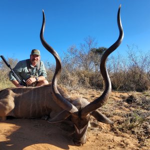 Kudu Hunting South Africa