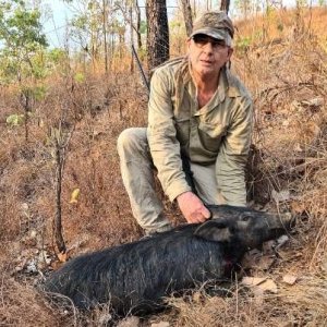 Pig Hunt Australia