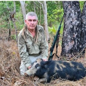 Pig Hunt Australia