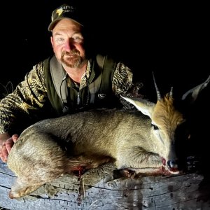 Duiker Hunt South Africa