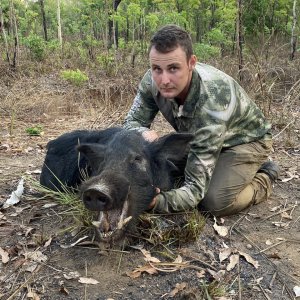 Hunting Pig Australia