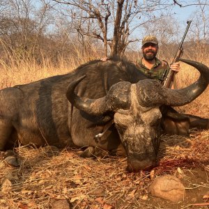 Buffalo Hunt Zimbabwe