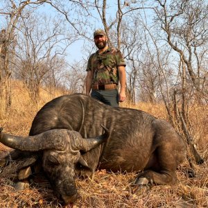 Buffalo Hunt Zimbabwe