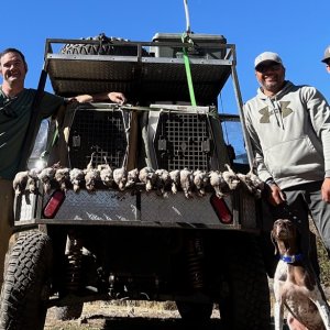 Bird Hunting Nevada