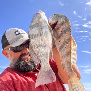 Black Drum Fishing Florida