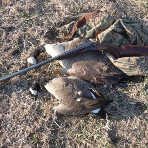 Duck Hunt Argentina