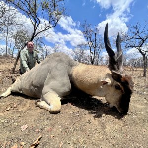 Eland Hunting Mozambique