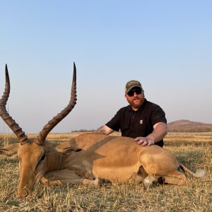 Impala Hunting Zimbabwe