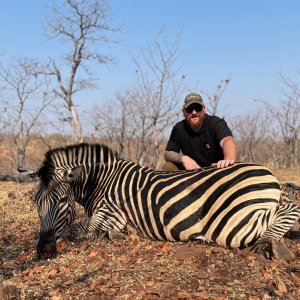 Zebra Hunting Zimbabwe