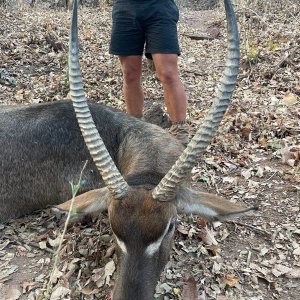 Waterbuck Hunting Zimbabwe