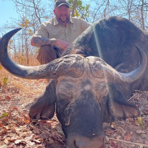 Buffalo Hunting Zimbabwe