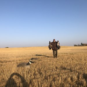 Bird Hunting Canada