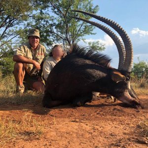 Sable Hunt South Africa