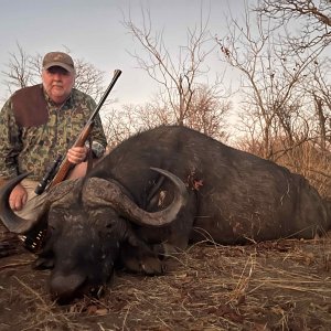 Buffalo Hunt Zimbabwe