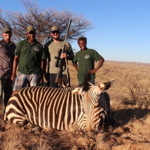 Hartmann's Zebra Hunting Namibia