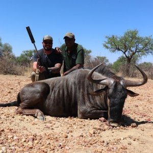 Blue Wildebeest Hunting Namibia