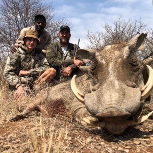 Warthog Hunt South Africa