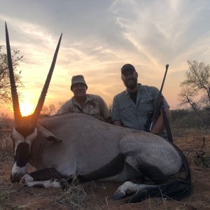 Gemsbok Hunt South Africa