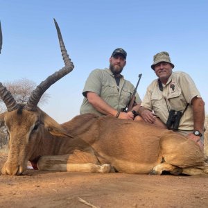 Impala Hunt South Africa