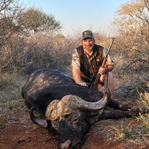 Buffalo Hunting South Africa