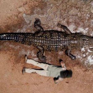 Crocodile Hunt South Africa