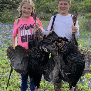 Turkey Hunt Texas