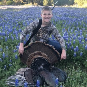 Turkey Hunt Texas