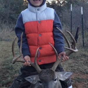 Whitetail Deer Hunt Texas