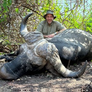 Cape Buffalo Hunt Niassa Mozambique