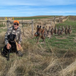 Wingshooting North Dakota