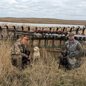 Wingshooting North Dakota