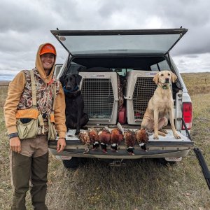 Wingshooting North Dakota