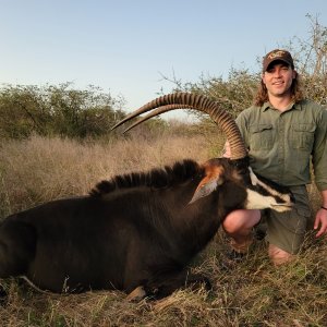 Sable Hunt South Africa