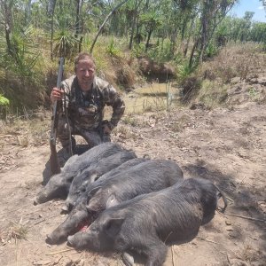 Pig Hunt Northern Territory Australia