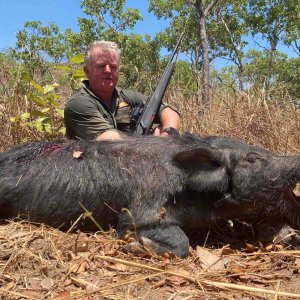 Pig Hunt Northern Territory Australia