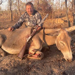 Donkey Northern Territory Australia