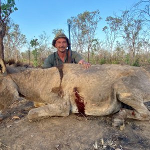 Donkey Hunt Northern Territory Australia