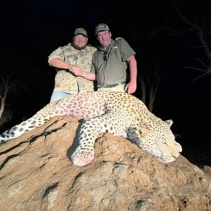 Leopard Hunt Namibia