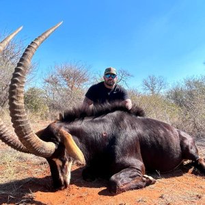 Sable Hunt South Africa